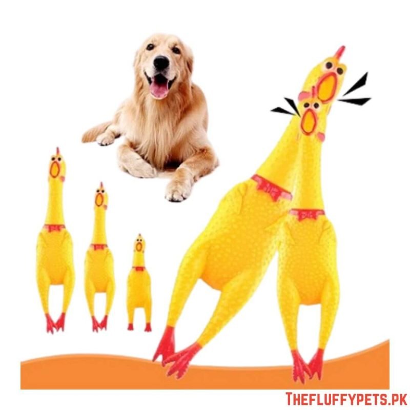 Squeaking Hen Toys