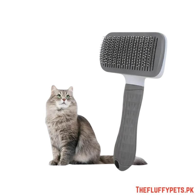 Button Brush Square