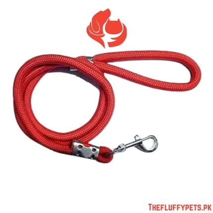 Toy Breed Leash