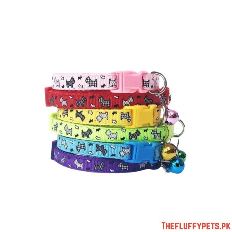 Cat Collar