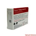 Panacur Deworming Tablet for Cats and Dogs