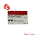 Panacur Deworming Tablet for Cats and Dogs