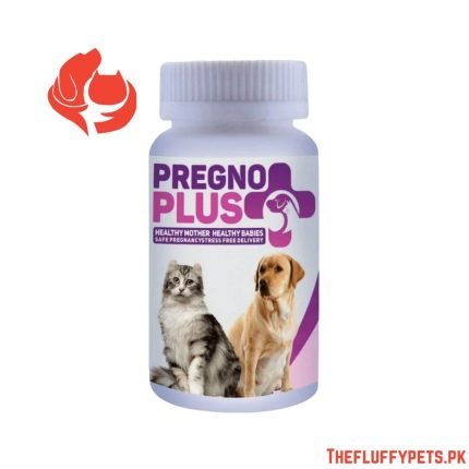 Pregno Plus for Pregnant Cats and Dogs