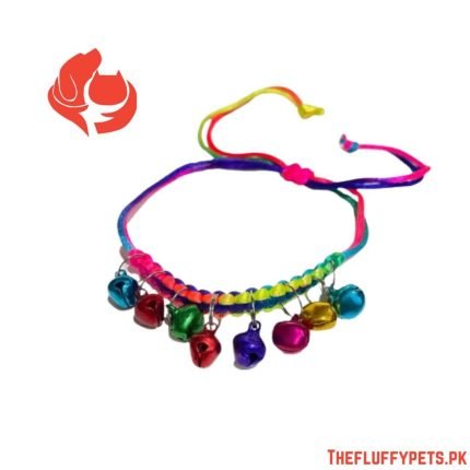 Multiple Colors Pet Necklace