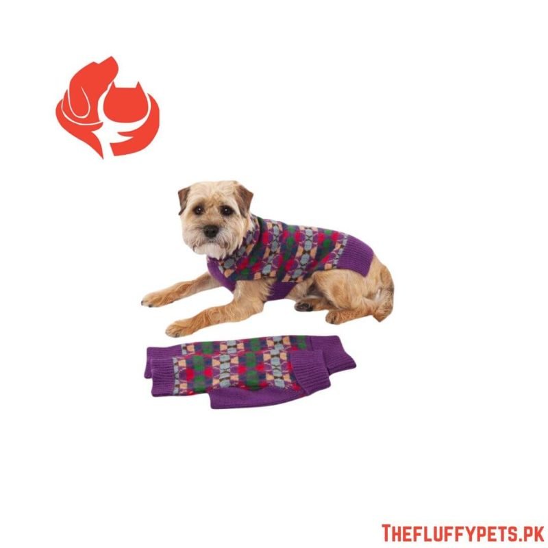 Wool Dog Sweater