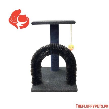 Scratching post (2 in 1)