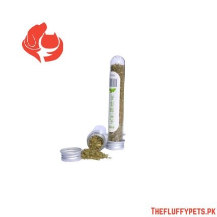 Catnip