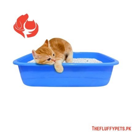 Cat Litter Tray