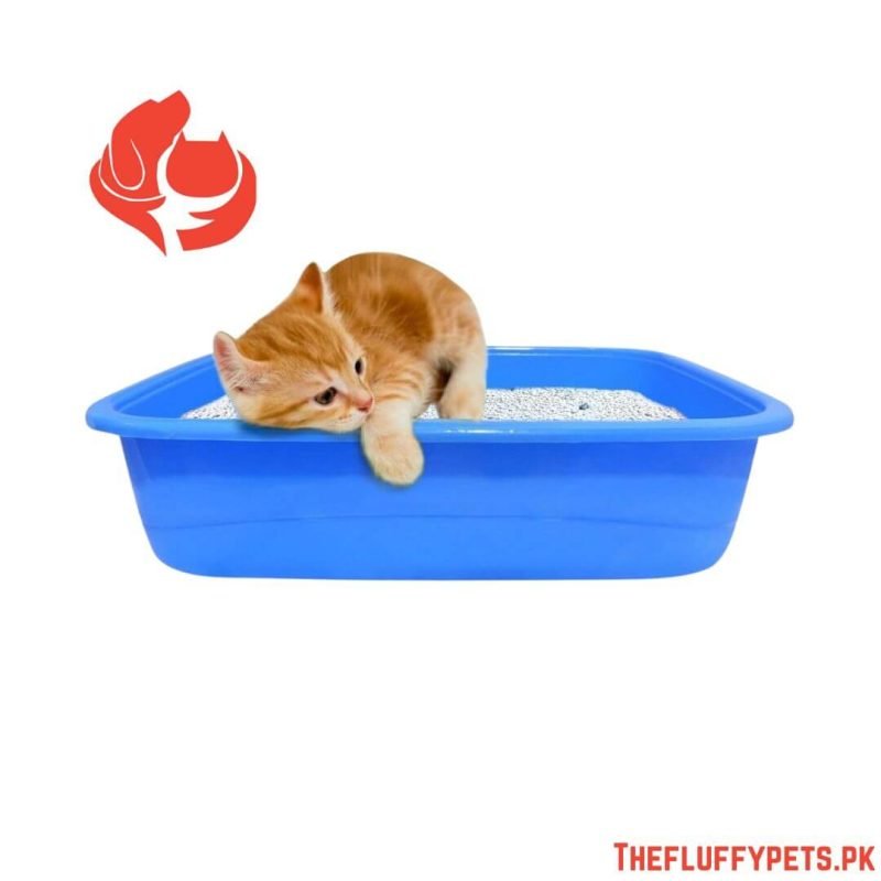 Cat Litter Tray