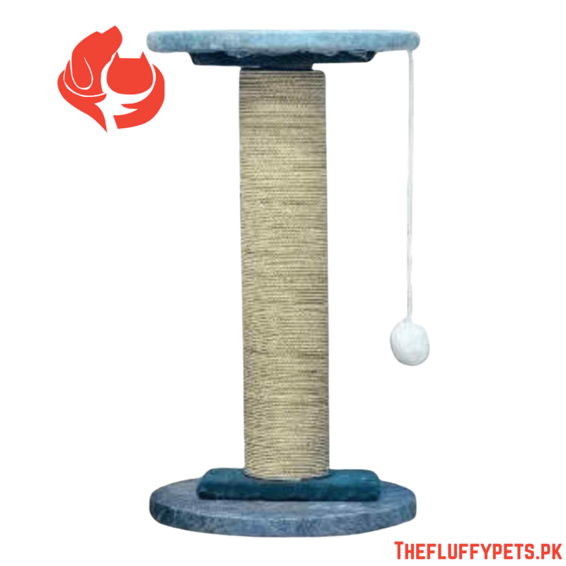 Single Round Top Scratcher