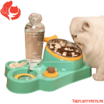 Pet Food and Water Dispenser (Design K)
