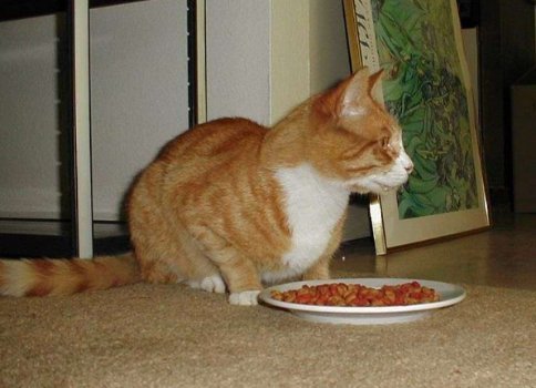 Vitamins