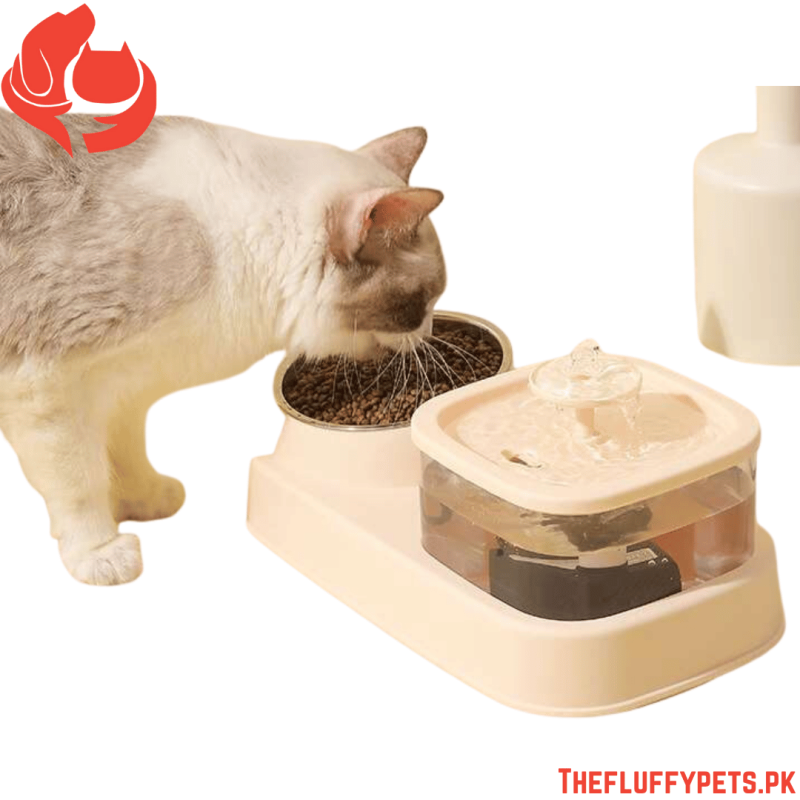 Square Fountain With Feeding Bowl