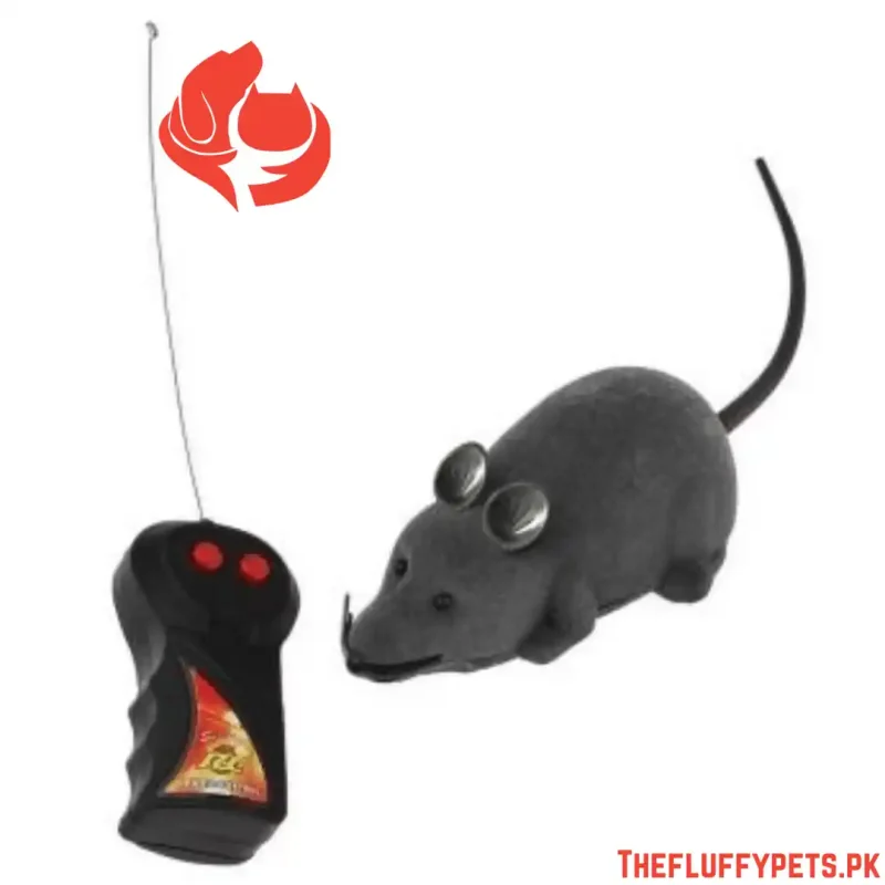 Cat Mouse Toy With Remote