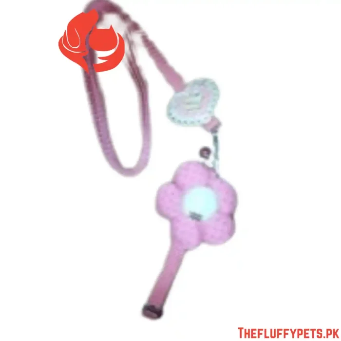 Leash With Flower Cat Collar