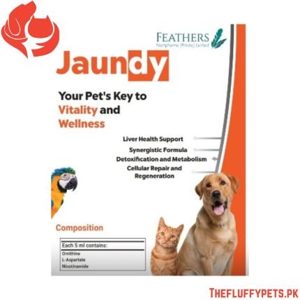 Feathers Jaundy Syrup