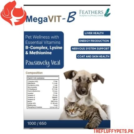 Feathers MegaVIT-B Syrup