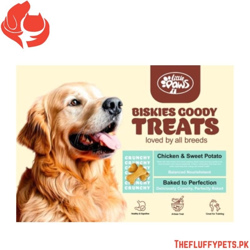 Little Paws Biskies Treat Jar 500gm