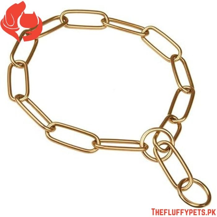 Long Link Golden Choke Chain