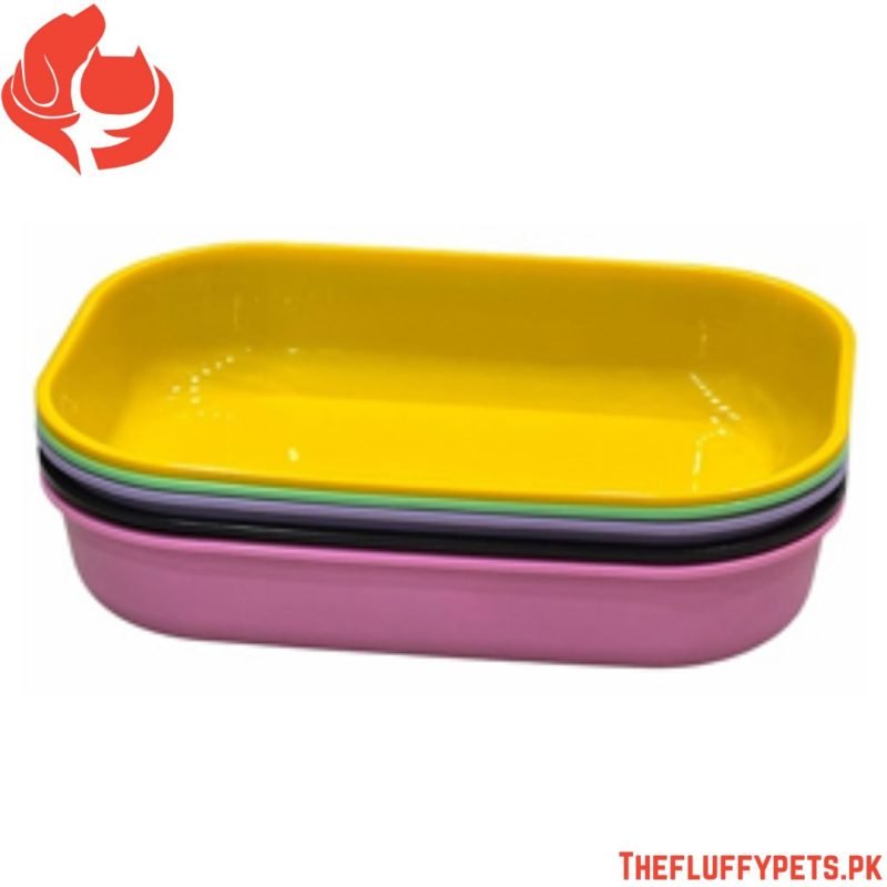 Oval Shape Tray