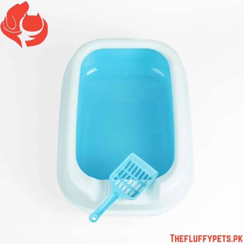Oval Shape Tray with cover