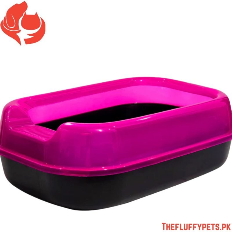 Oval Shape Tray with cover