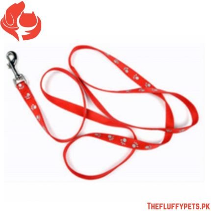 Puppy & Cat Leash