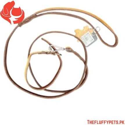 Puppy Leash With Collar