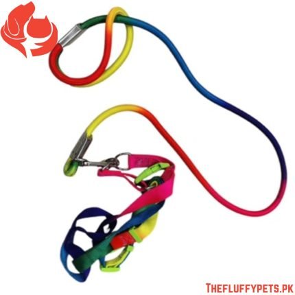 Rainbow Leash With Harness