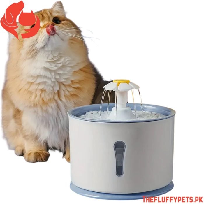 Auto Pet Water Dispenser – Circulating & Filtered
