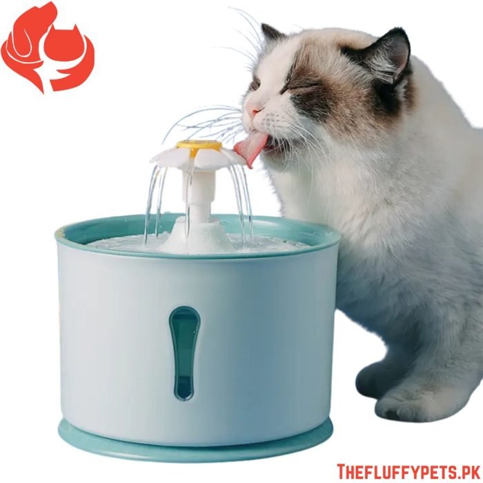 Auto Pet Water Dispenser – Circulating & Filtered