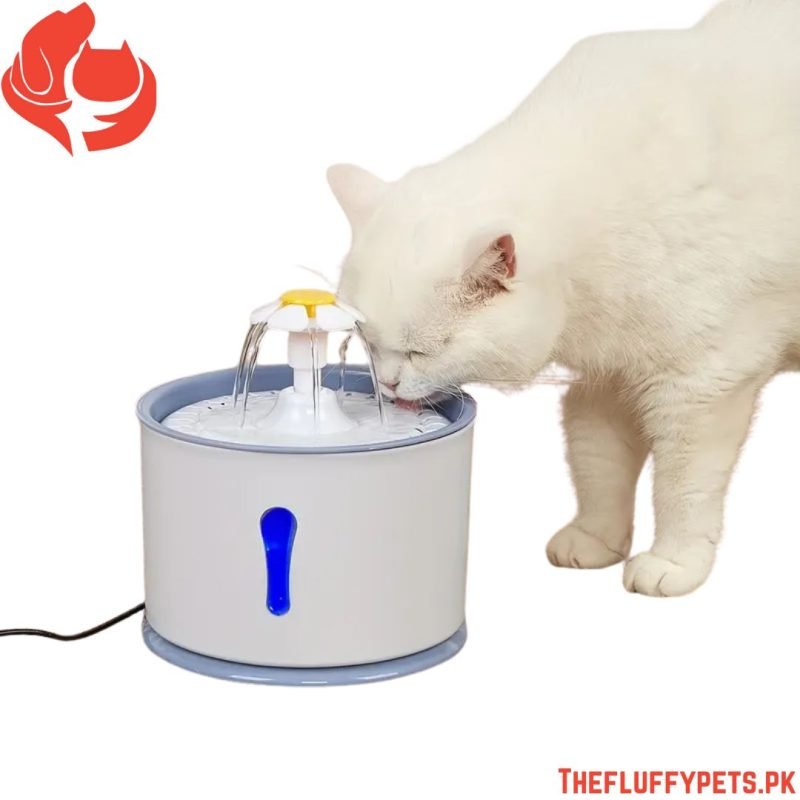 Auto Pet Water Dispenser – Circulating & Filtered