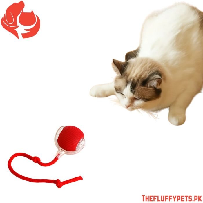 Smart Electric Cat Toy – Auto Teaser Ball, USB Charge