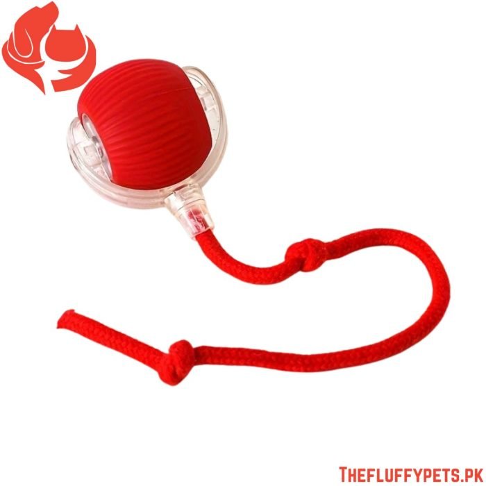 Smart Electric Cat Toy – Auto Teaser Ball, USB Charge