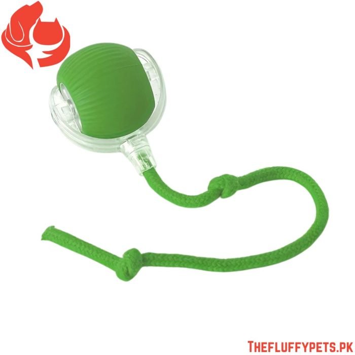 Smart Electric Cat Toy – Auto Teaser Ball, USB Charge