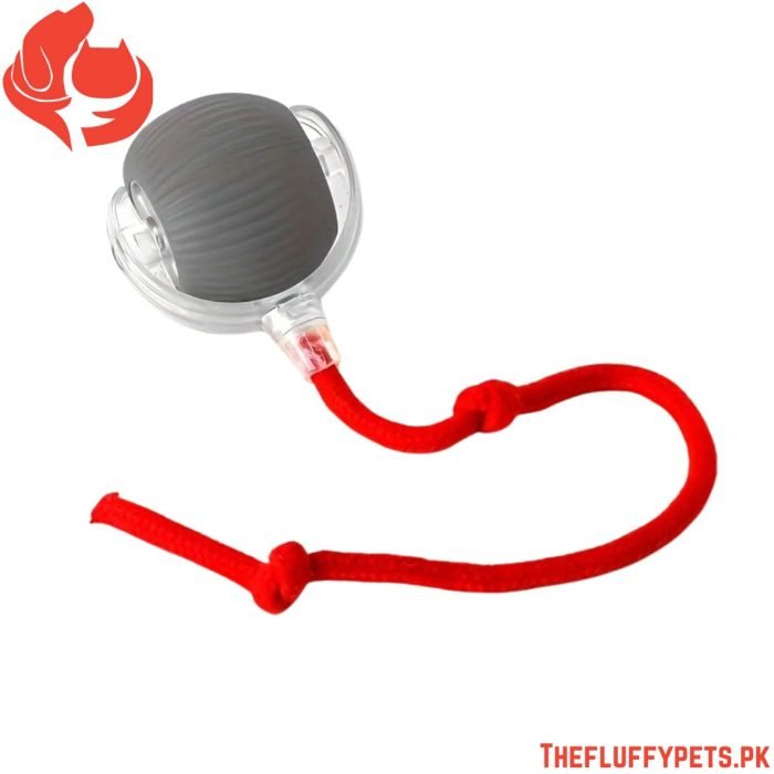 Smart Electric Cat Toy – Auto Teaser Ball, USB Charge