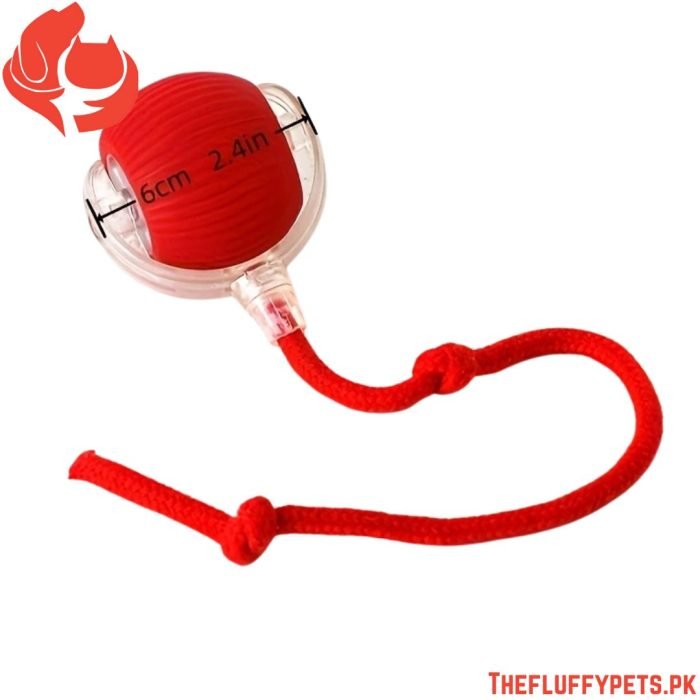 Smart Electric Cat Toy – Auto Teaser Ball, USB Charge